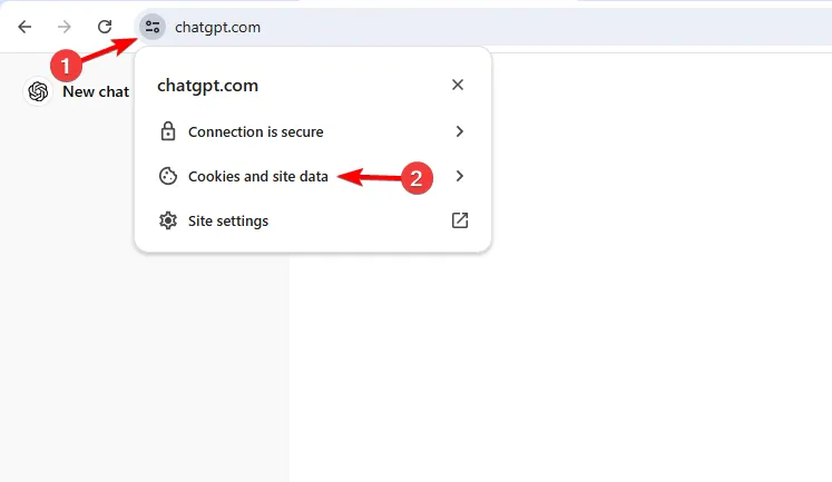 Cookies y datos del sitio chatgpt en Chrome