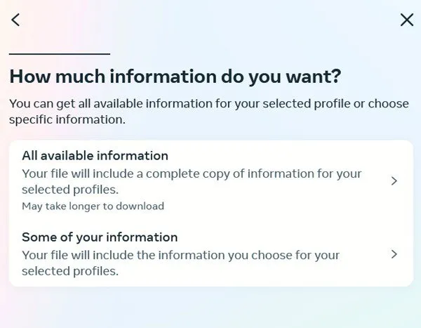 Deciding how much info you want to download in Instagram on PC.