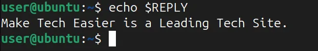 Usando el comando echo para mostrar la salida de la variable REPLY