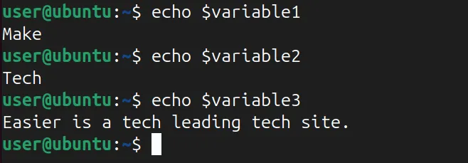 echo コマンドを使用して複数の値を表示する