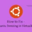 Fix – Ubuntu friert in der virtuellen Maschine ein