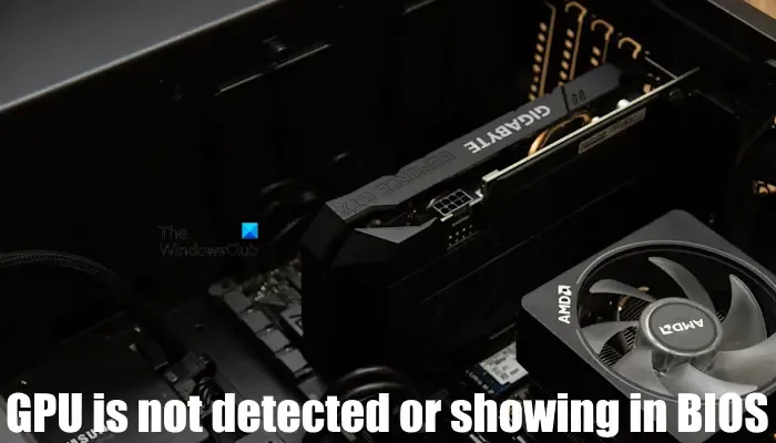 Le GPU n'est pas détecté dans le BIOS