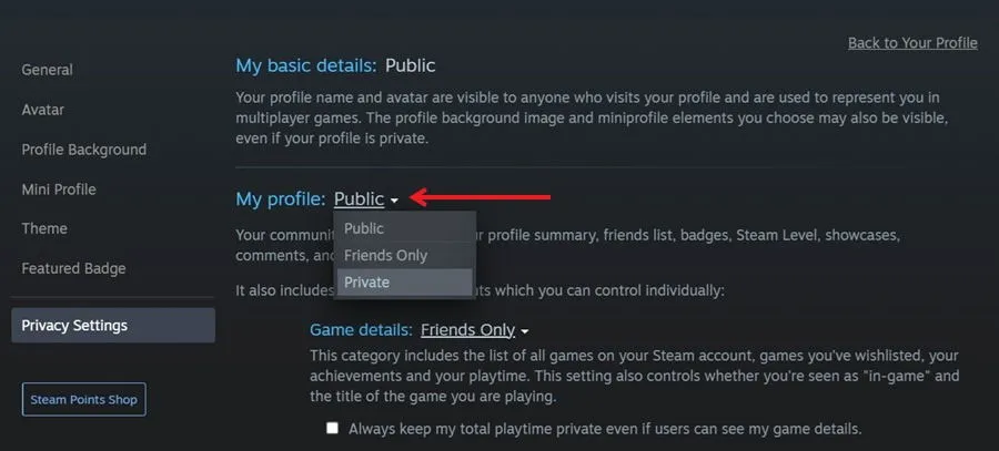 Przełączanie profilu z publicznego na prywatny w kliencie Steam na komputerze.