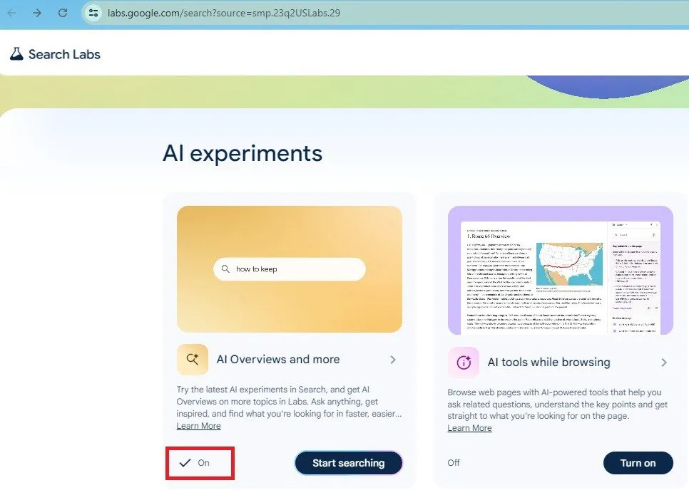 Strona eksperymentu AI w Google Labs z włączonymi przeglądami AI.