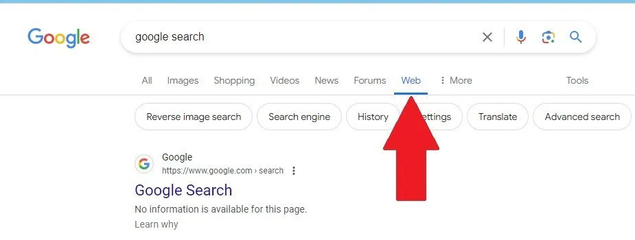 Google 検索結果をウェブのみに切り替えます。