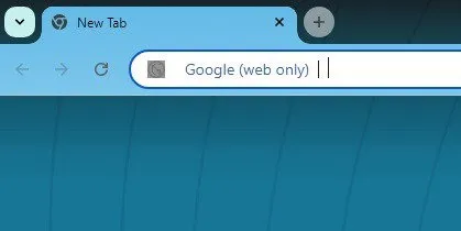 Gebruik de optie Alleen web zoeken in de adresbalk van Google.