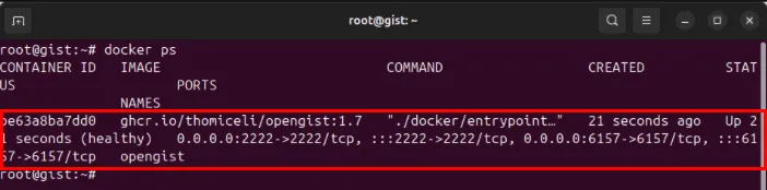 Terminal pokazujący działający kontener Docker OpenGist.