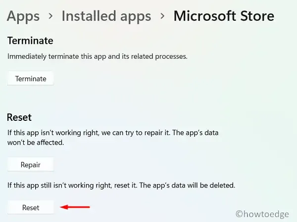 Restablecer Microsoft Store en Windows 11: error de la tienda 0xD000000D