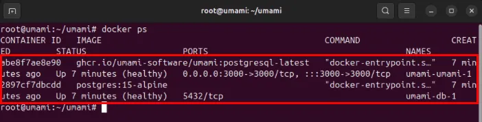 Una terminal que resalta los dos contenedores Umami que se ejecutan en el servidor Ubuntu.