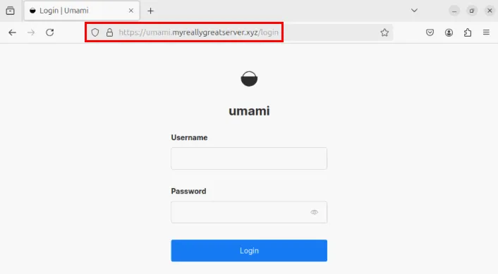 Une capture d'écran mettant en évidence la barre d'adresse de l'instance Umami.
