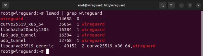 Un terminal montrant le Wireguard chargé sur le noyau Linux.