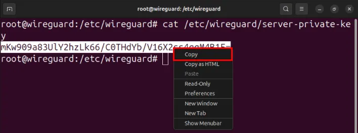 Un terminale che mostra il processo di copia della chiave privata del server su Ubuntu.