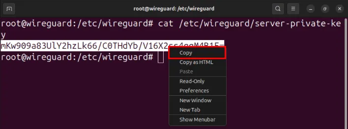 Ein Terminal, das den Vorgang des Kopierens des privaten Schlüssels des Servers unter Ubuntu zeigt.