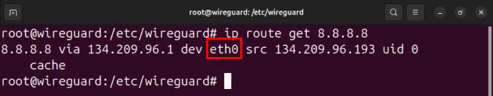 Un terminal que resalta el nombre de la interfaz de red con acceso a Internet.