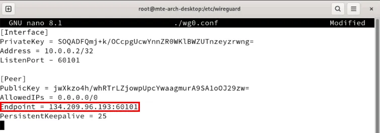 Un terminal mettant en évidence l'adresse IP du serveur Wireguard.