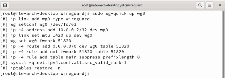 Ein Terminal, das den Startvorgang des Wireguard-Client-Daemons zeigt.