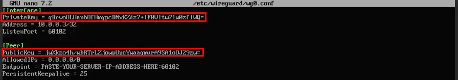 Ein Terminal, das den privaten Schlüssel des zweiten Clients und den öffentlichen Schlüssel des Wireguard-Servers hervorhebt.