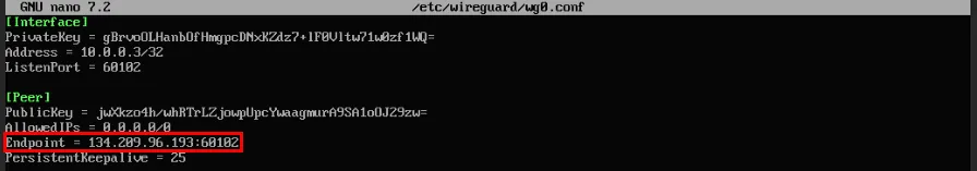 Una terminal que resalta la dirección IP del servidor Wireguard en la configuración del segundo cliente.
