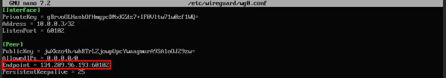 Terminal podświetlający adres IP serwera Wireguard w konfiguracji drugiego klienta.