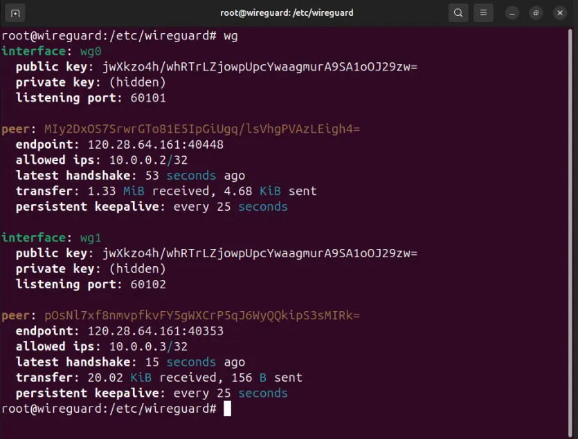 Un terminale che mostra i due nodi client che comunicano con il server Wireguard.
