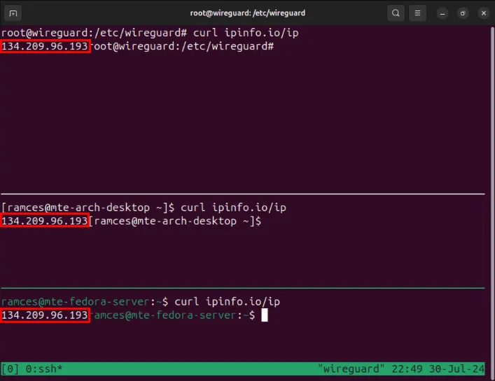 Ein Terminal, das die ähnliche externe IP-Adresse auf drei Wireguard-Knoten hervorhebt.