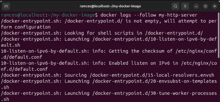 Una terminal que muestra los registros continuos de un contenedor Docker.