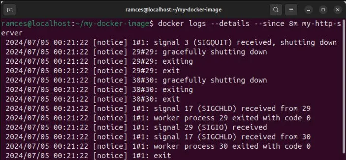 Una terminal que muestra una salida de registro más detallada de un contenedor Docker que se está ejecutando actualmente.