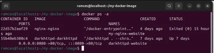 Una terminal que muestra todos los contenedores Docker disponibles, incluidos los que se encuentran actualmente inactivos.