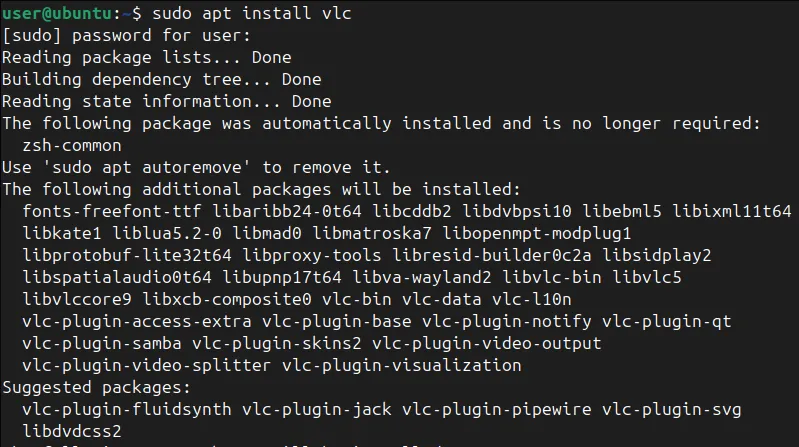 Installazione del lettore multimediale VLC tramite il gestore pacchetti apt
