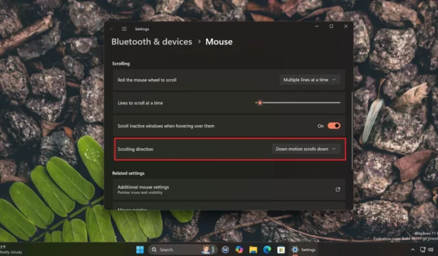 W systemie Windows 11 24H2 możesz łatwo dostosować kierunek przewijania myszy