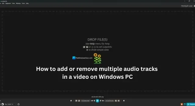 So fügen Sie auf einem Windows-PC mehrere Audiospuren zu einem Video hinzu oder entfernen sie