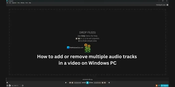 aggiungere o rimuovere più tracce audio in un video su PC Windows