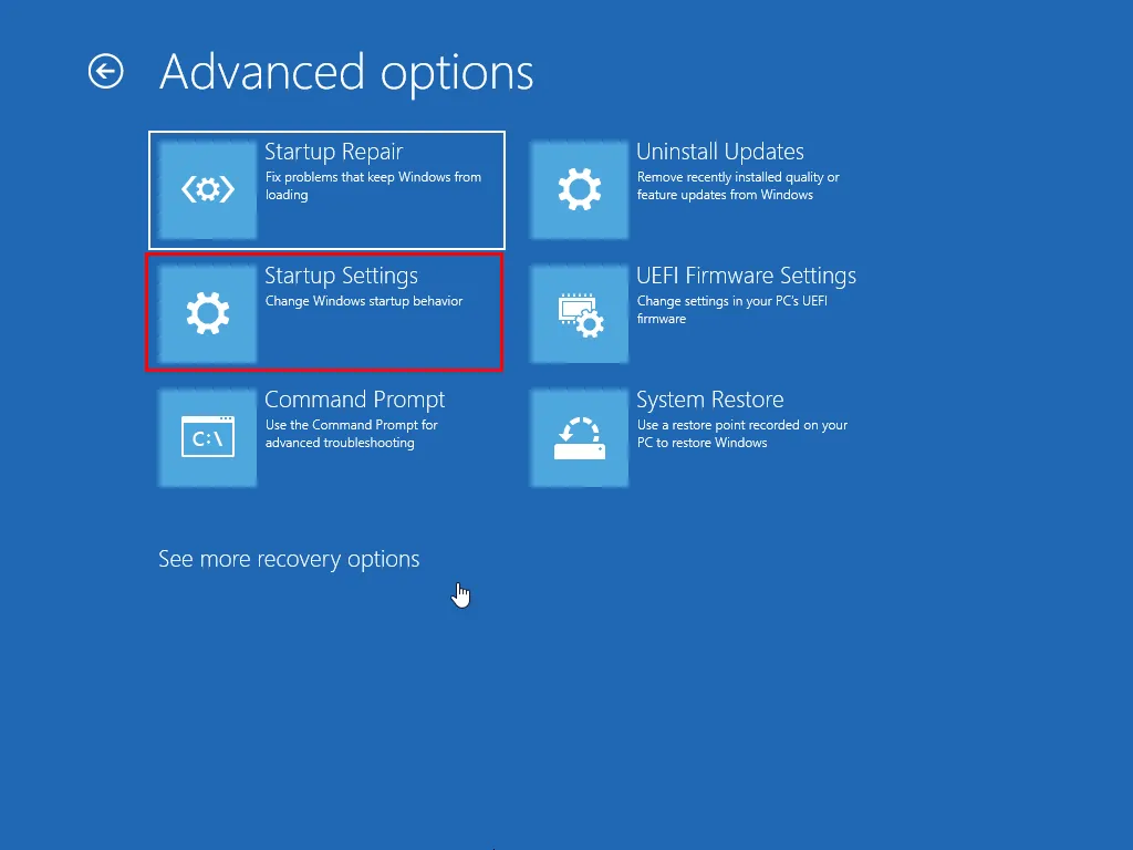 Opciones avanzadas de configuración de inicio