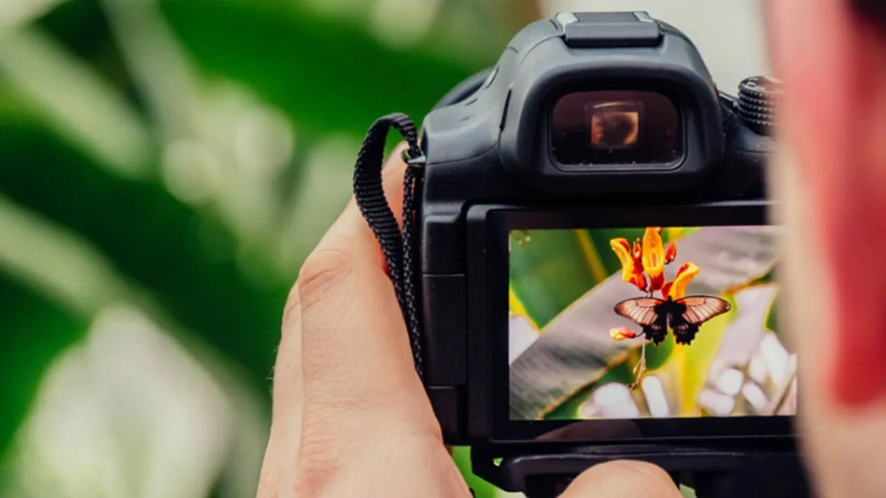 Person, die ein Foto einer gelben Blume macht.