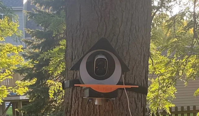 Haal meer vogels in uw leven met een Birdkiss Smart Bird Feeder 