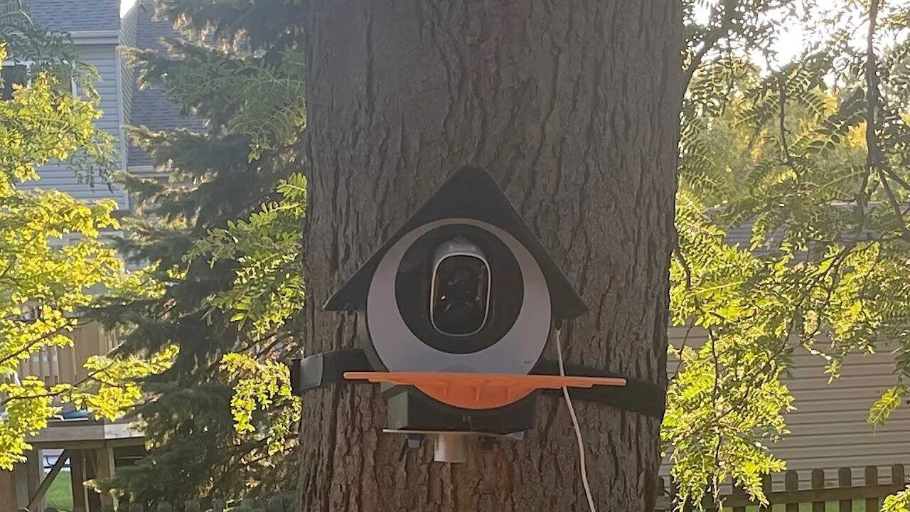 Birdkiss Smart Bird Feeder Polecane