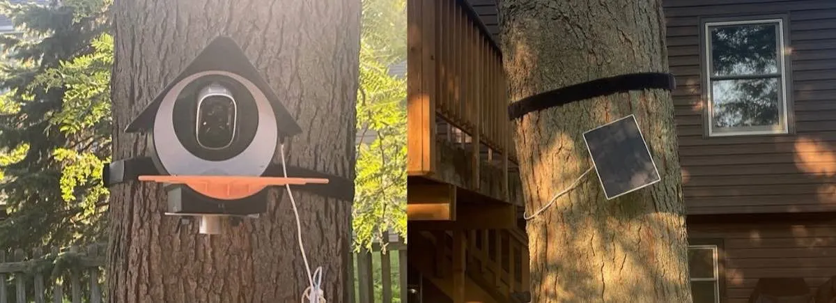 Mangeoire à oiseaux intelligente Birdkiss montée sur panneau solaire