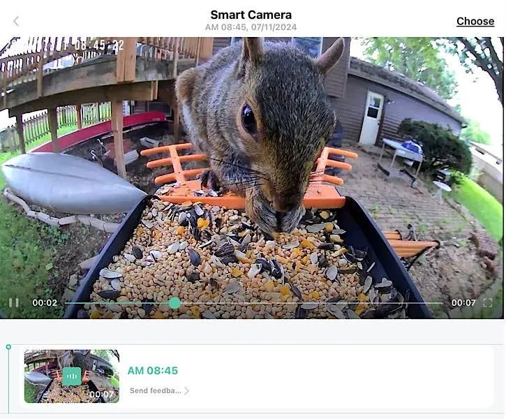 Birdkiss Smart Vogelfutterspender Eichhörnchen