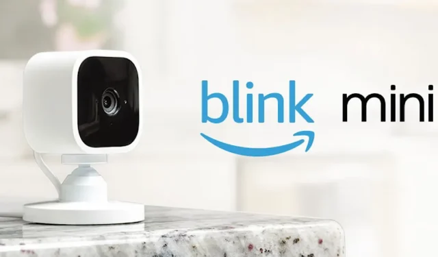 Manténgase seguro con las cámaras de seguridad para interiores Blink Mini