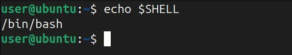 Mostrar la ruta actual del shell usando el comando echo