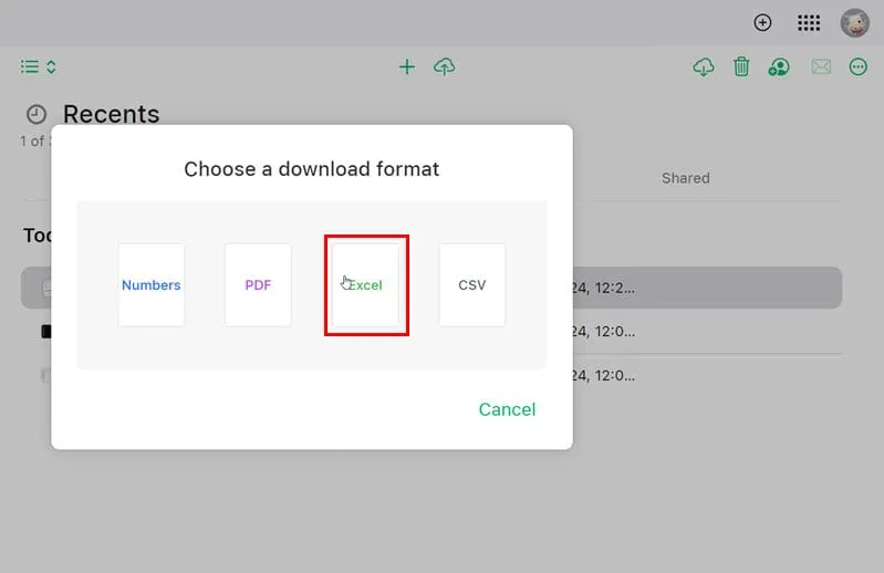 Opción de Excel en elegir una descarga