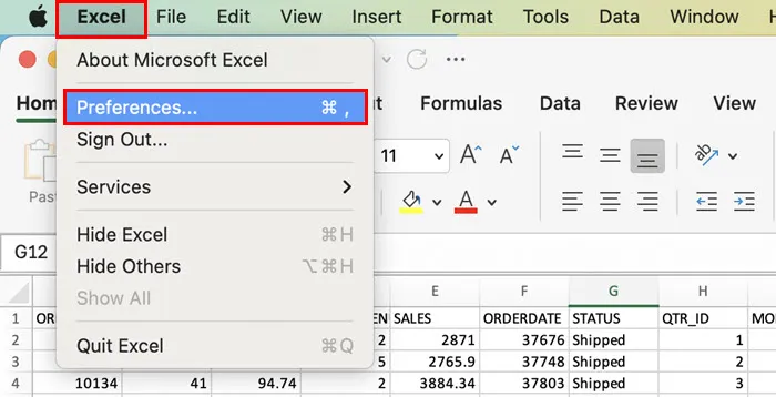 préférences Excel pour Mac