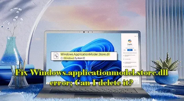 Windows.applicationmodel.store.dll-Fehler beheben; Kann ich ihn löschen?