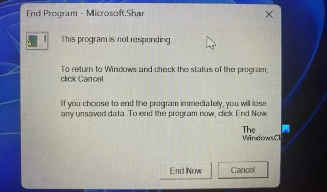 Błąd End Program Microsoft.Shar podczas wyłączania [Napraw]