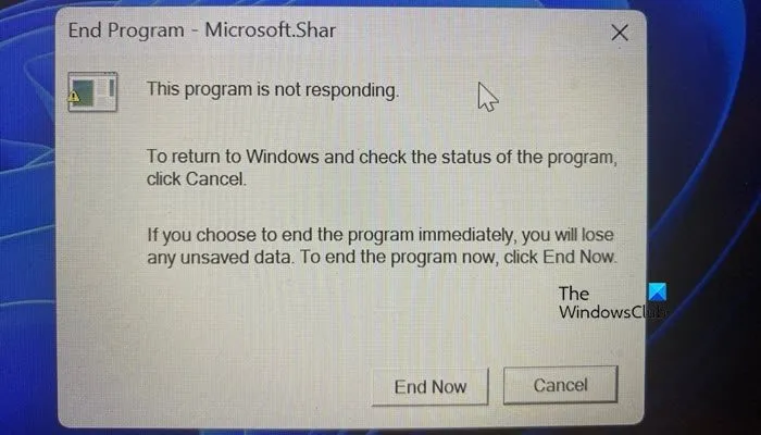 Error al finalizar el programa Microsoft.Shar al apagar