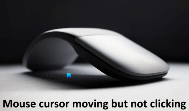 Il cursore del mouse si muove ma non fa clic in Windows 11