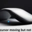 El cursor del mouse se mueve pero no hace clic en Windows 11