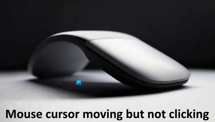 El cursor del mouse se mueve pero no hace clic