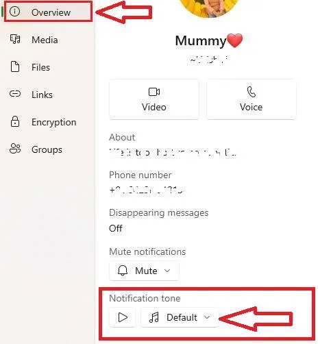 Pasos para personalizar el tono de notificación en el chat personal en la aplicación web de WhatsApp.