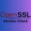 So überprüfen Sie die OpenSSL-Version unter Windows und Linux